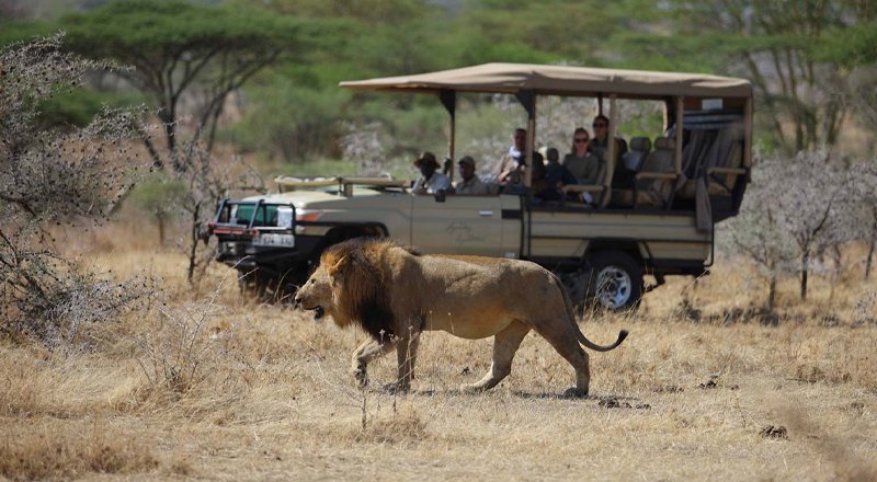 4-days-safari-tanzania1