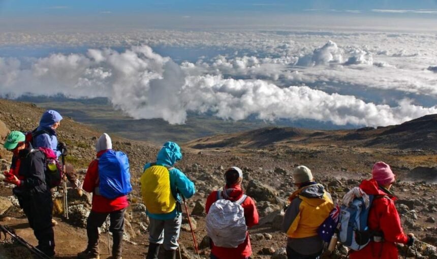 7-Day Rongai Route Trekking